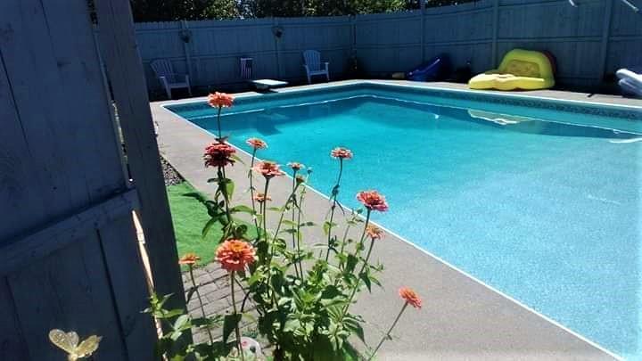 130 French's Mills Road Sangerville, ME 04479 - Photo 36 of 39 pool flowers