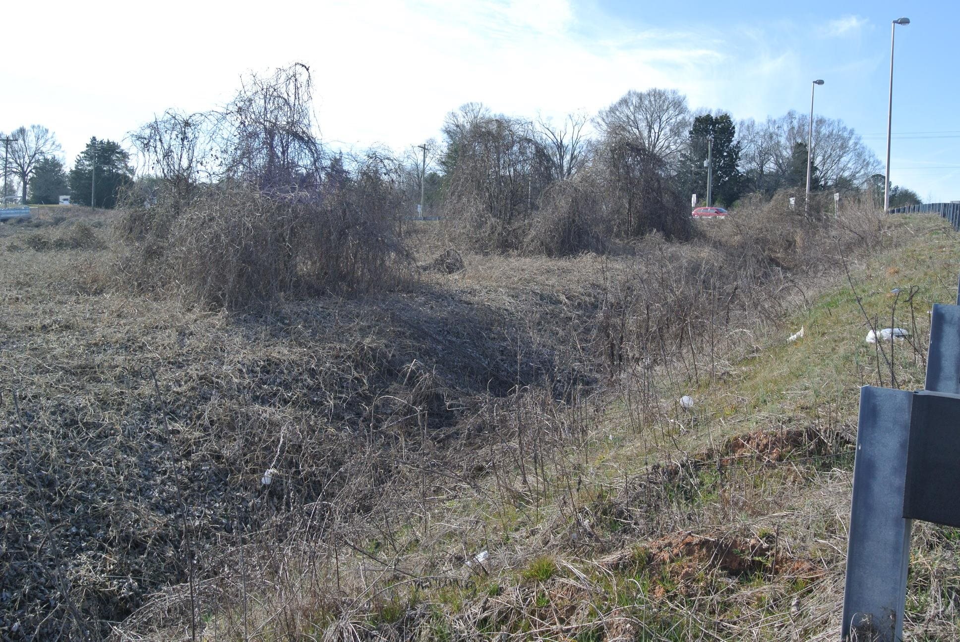 Foster Road Inman, SC 29349 - Photo 4 of 9