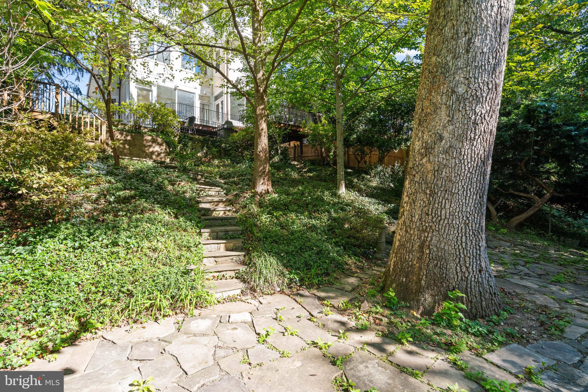 3214 Newark Street Northwest Washington, DC 20008 - Photo 38 of 38