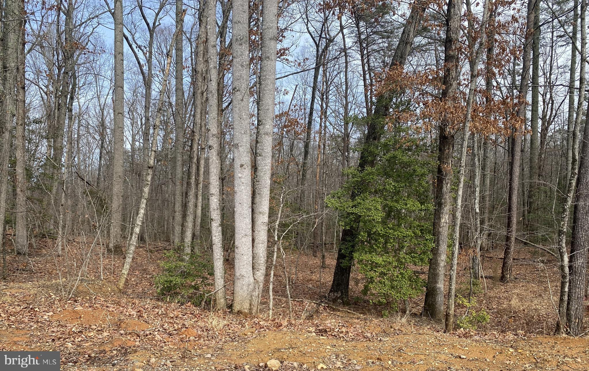 Chopping Road Mineral, VA 23117 - Photo 1 of 1 Gallery Image 1