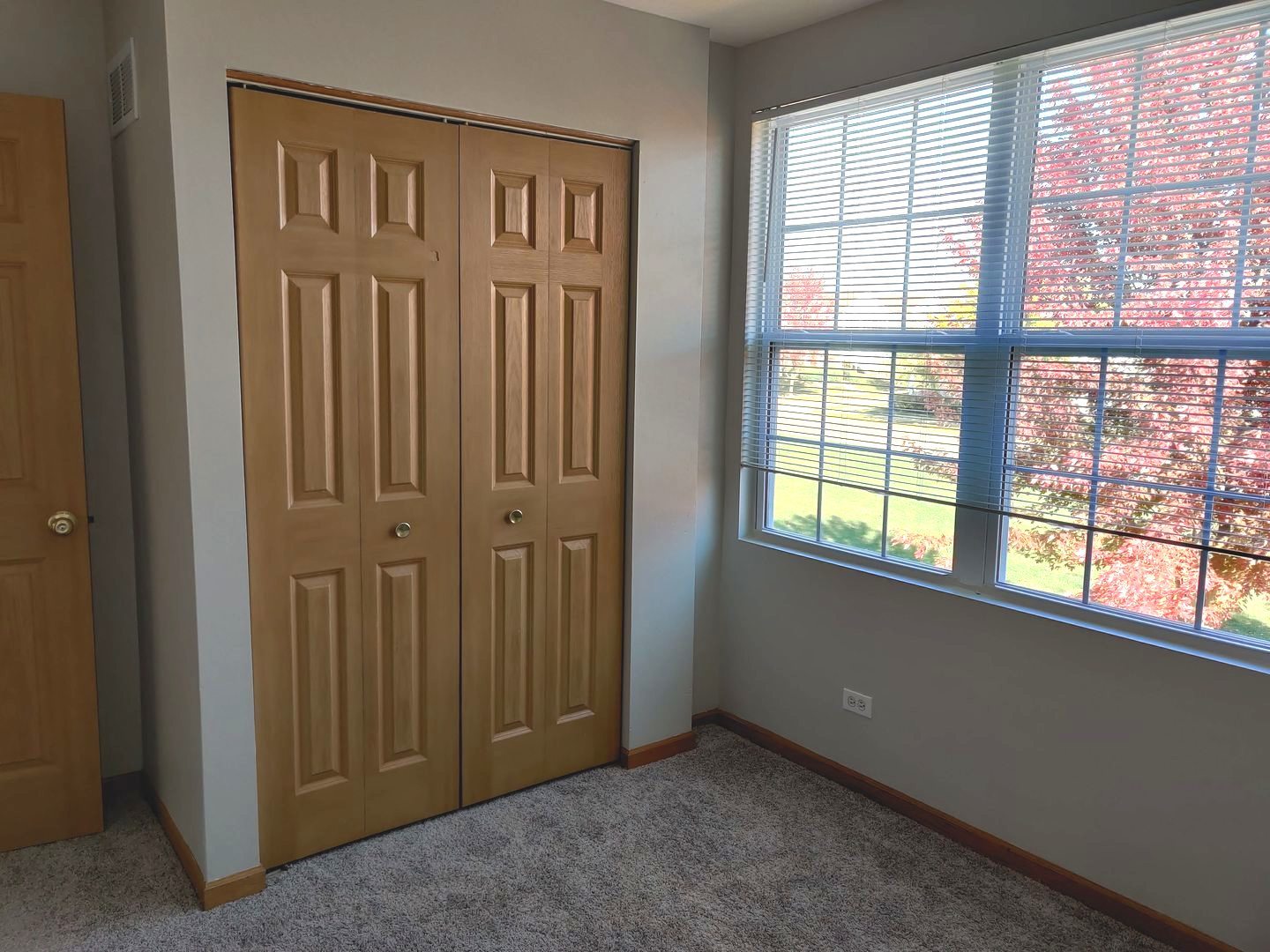 889 Symphony Drive Aurora, IL 60504 - Photo 19 of 24 an empty room with windows
