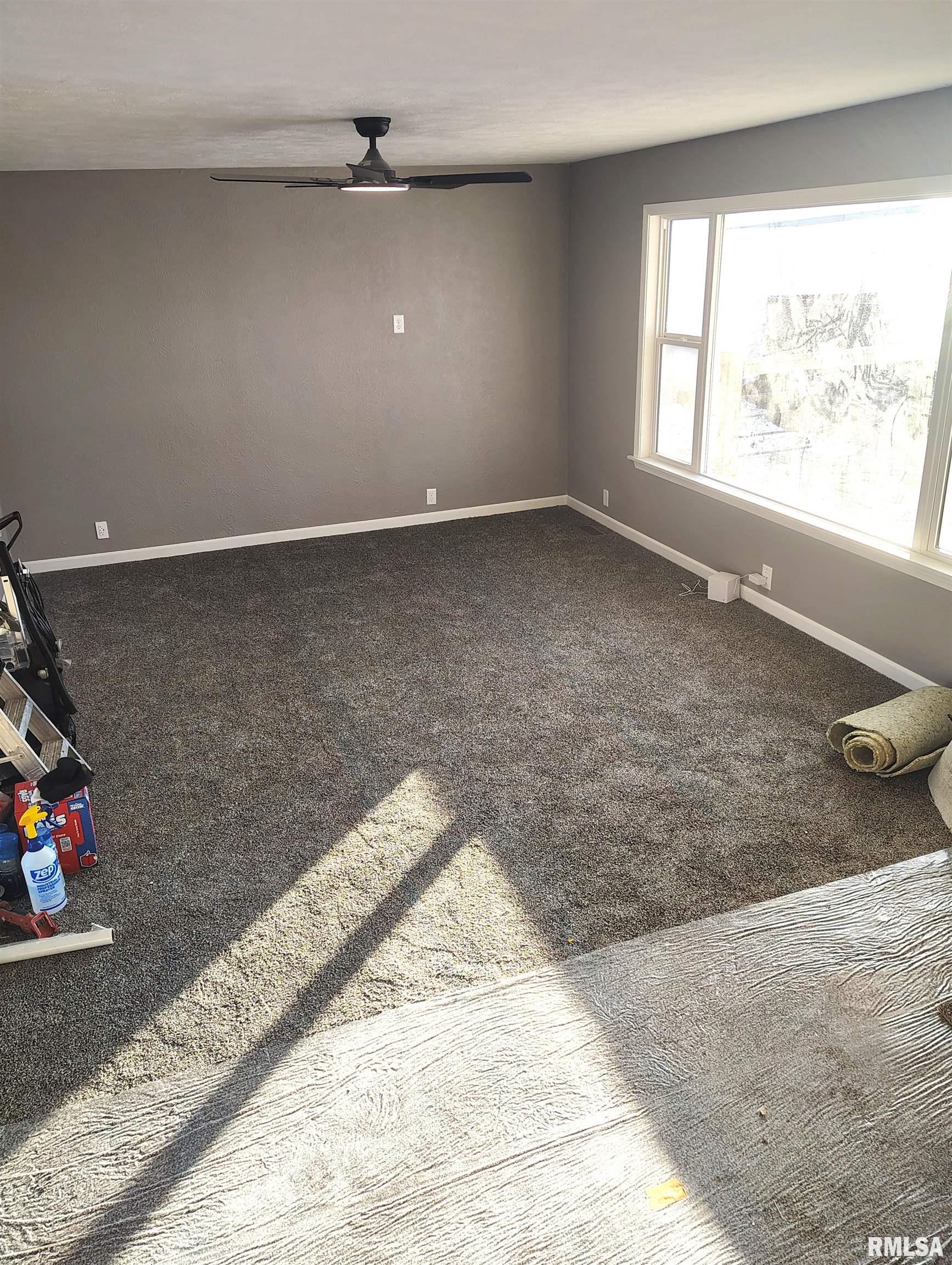 135 South 17th Avenue Canton, IL 61520 - Photo 6 of 22