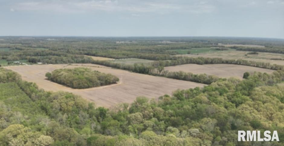 0 County 900 N Road McLeansboro, IL 62859 - Photo 1 of 4 a view of a field with an ocean