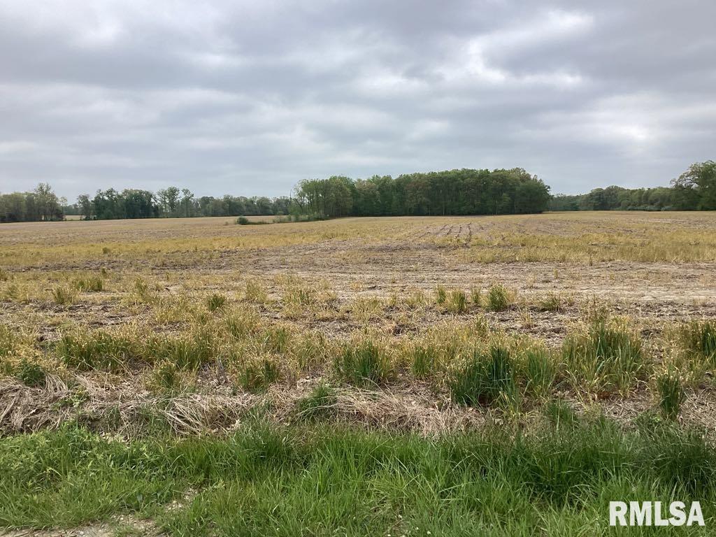 0 County 900 N Road McLeansboro, IL 62859 - Photo 2 of 4 a view of a lake from a yard