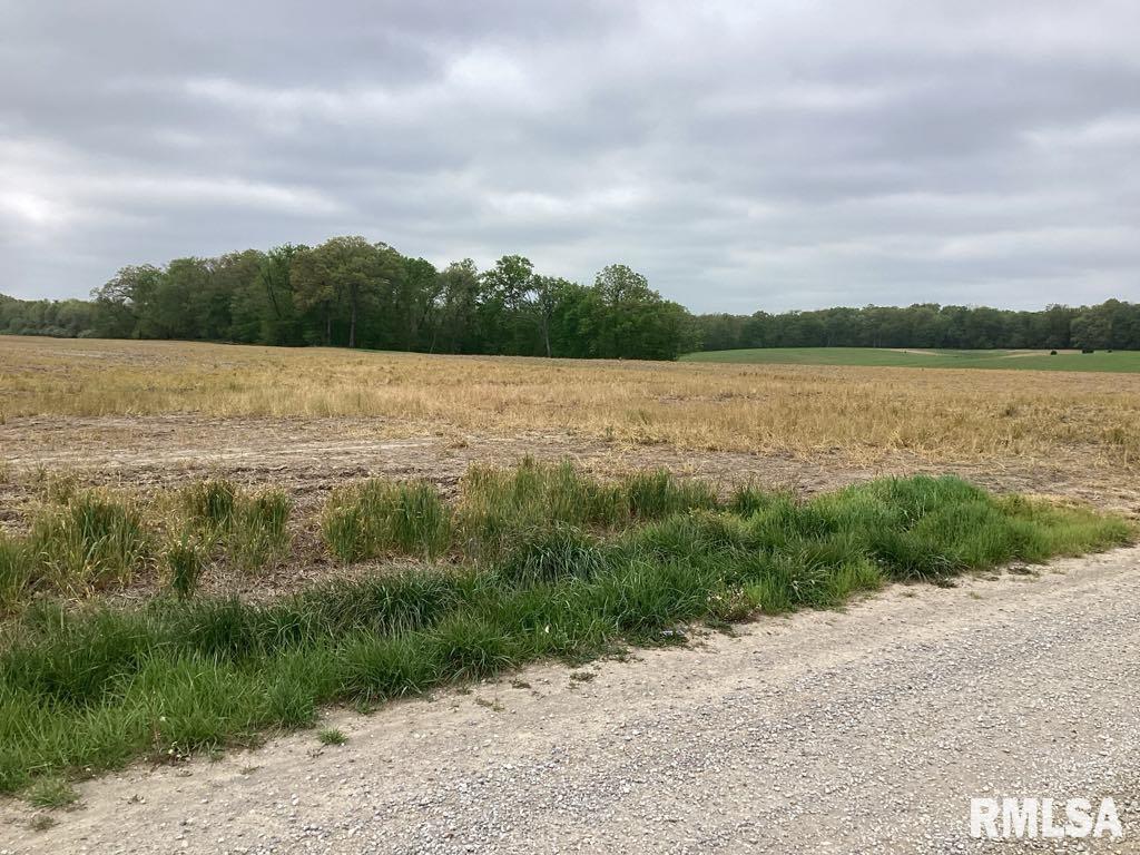 0 County 900 N Road McLeansboro, IL 62859 - Photo 3 of 4 a view of a lake from a yard