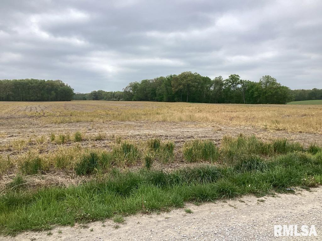 0 County 900 N Road McLeansboro, IL 62859 - Photo 4 of 4 a view of a lake from a yard