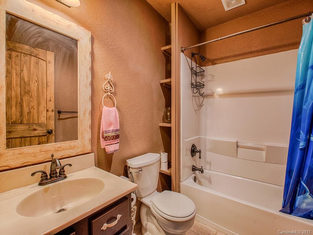 295 Rice Cove Road Canton, NC 28716 - Photo 22 of 24 a bathroom with a sink toilet and shower