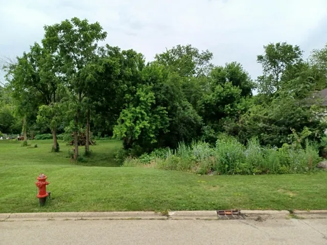a green field with trees in the background