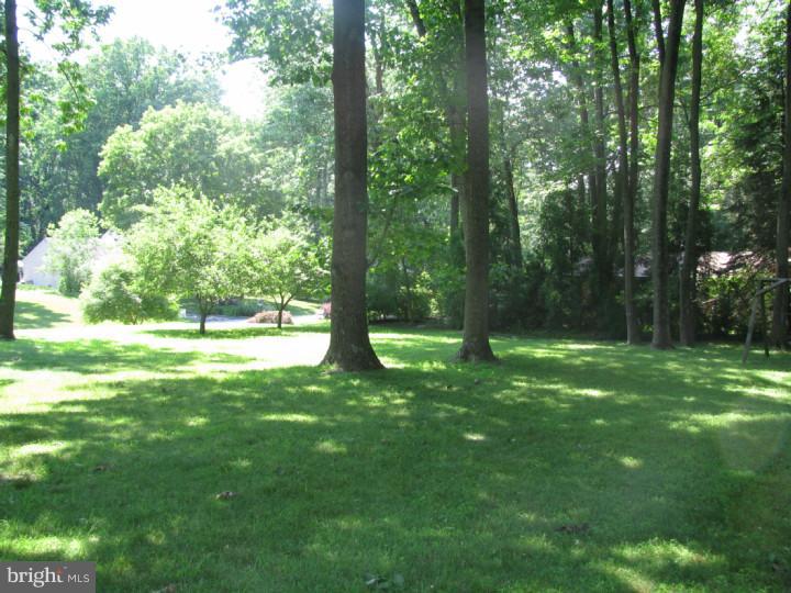 1 Forest View Road Wallingford, PA 19086 - Photo 8 of 16 Gallery Image 8