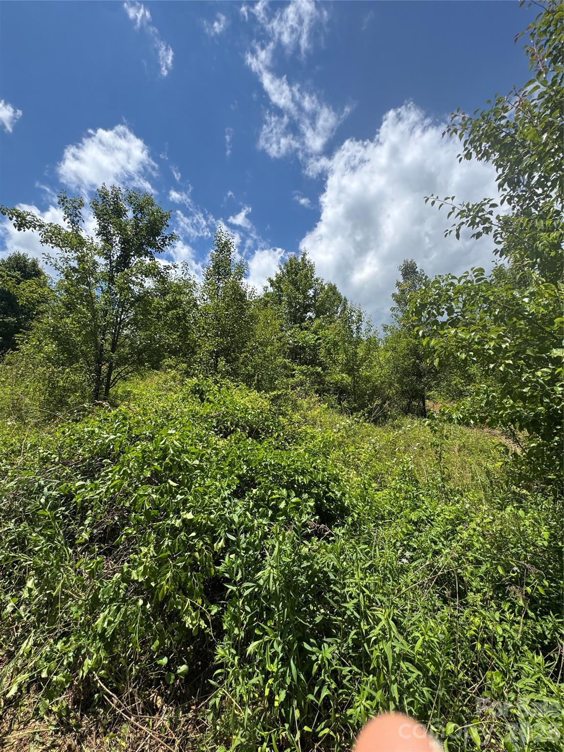 Tbd Duckett Road Candler, NC 28715 - Photo 12 of 17