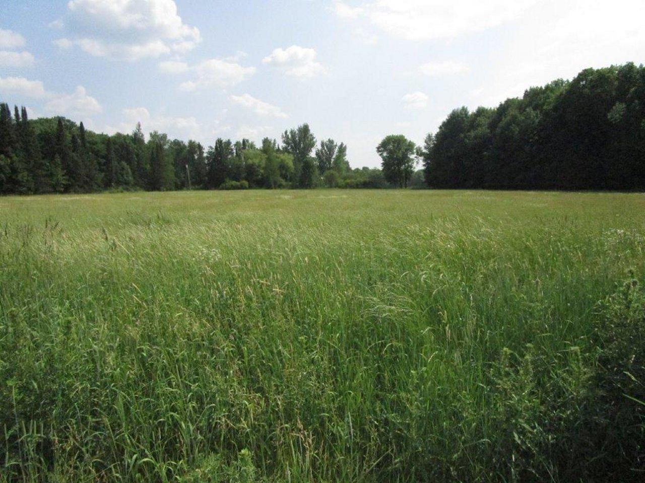 W4590 Wonder Road Phillips, WI 54555 - Photo 52 of 55 Gallery Image 52