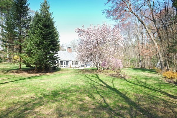 123 Draper Road Wayland, MA 01778 - Photo 28 of 30 a view of a big yard with plants and large trees