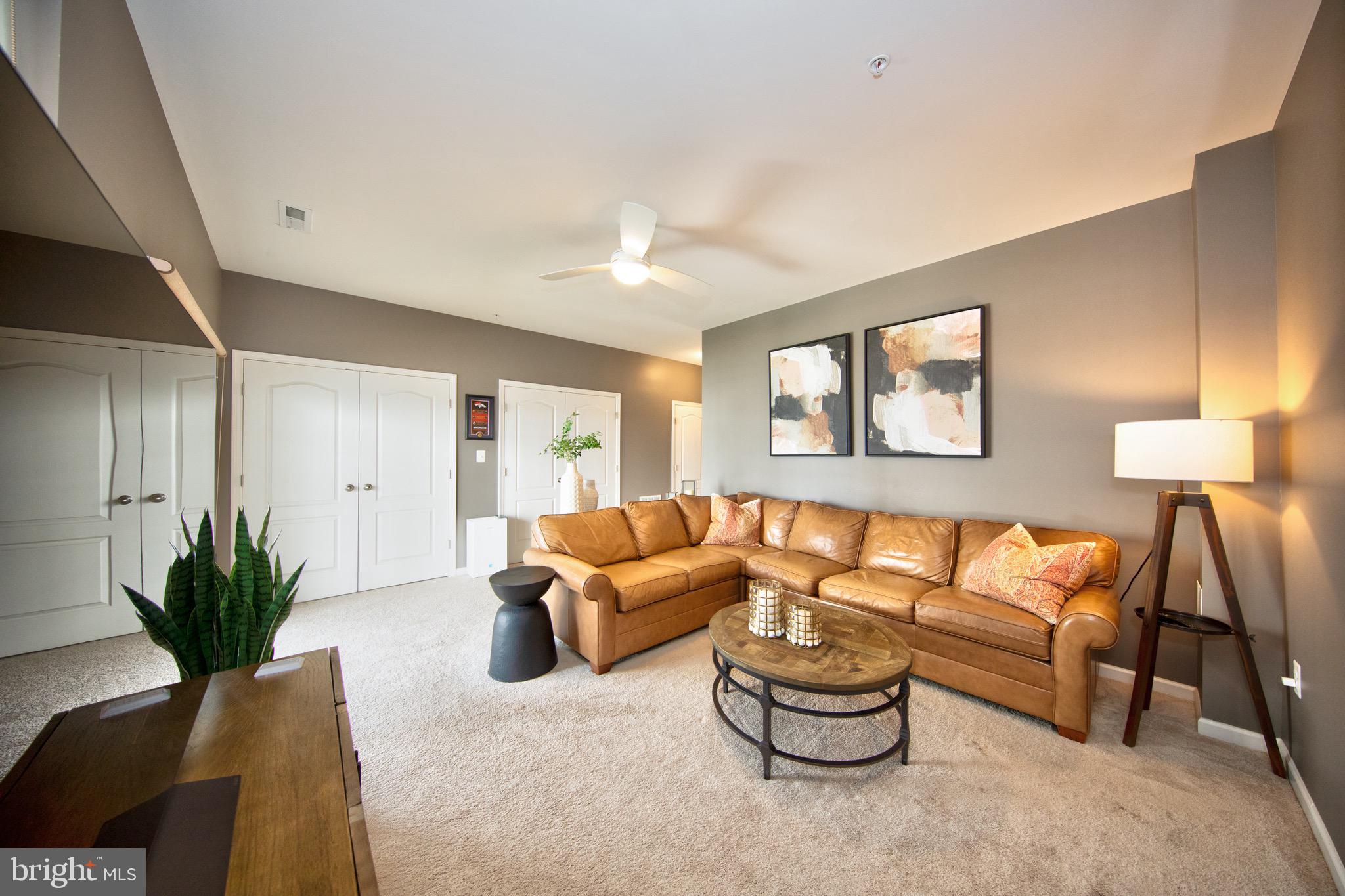 909 Morgan Run Road Baltimore, MD 21220 - Photo 7 of 41 a living room with furniture and a potted plant