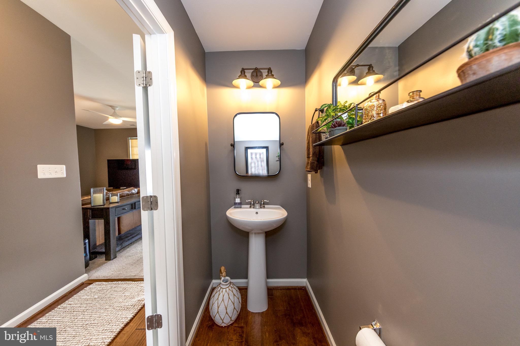 909 Morgan Run Road Baltimore, MD 21220 - Photo 8 of 41 a bathroom with a sink and a mirror