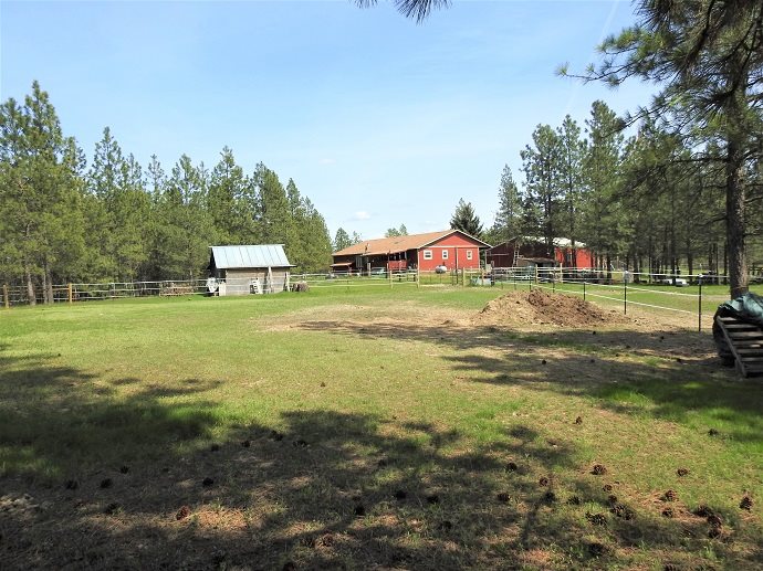 7908 South Carnation Road Cheney, WA 99004 - Photo 1 of 1