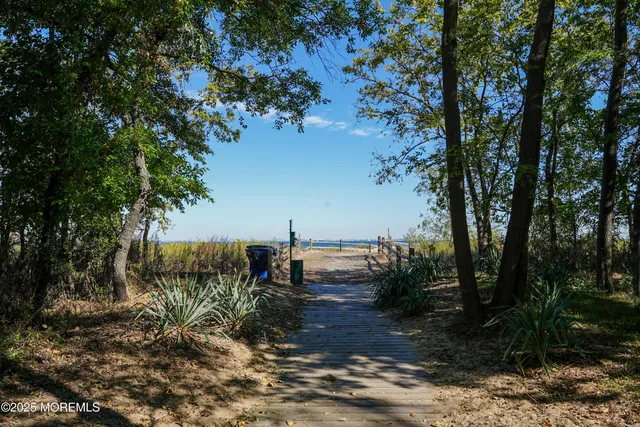 a view of a yard with plants and trees