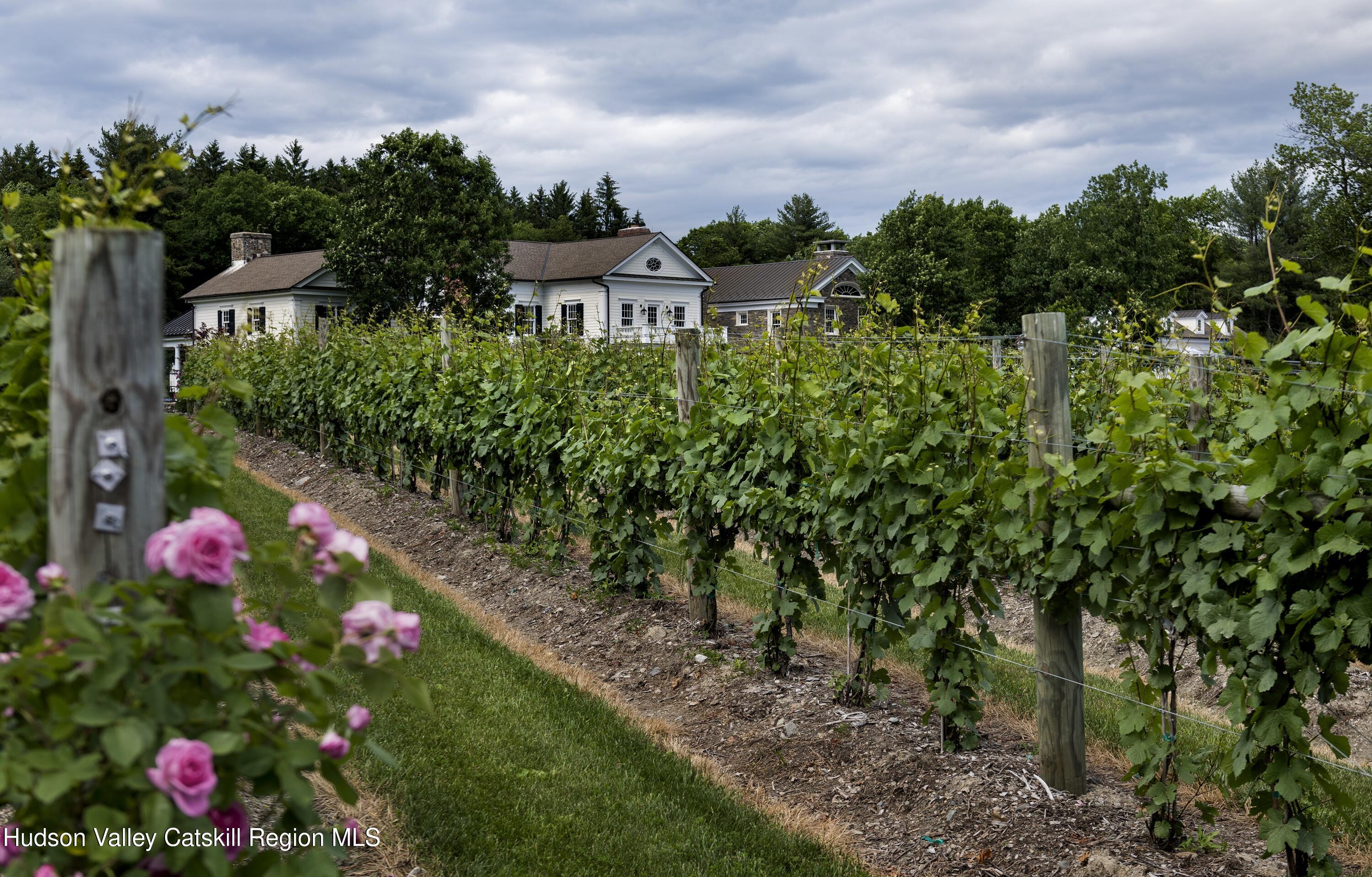 309 Woodstock Road Millbrook, NY 12545 - Photo 50 of 51 a picture of flowers