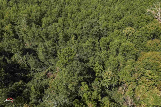 $168,000 | Tbd Cole Road, Marshall, TX 75672