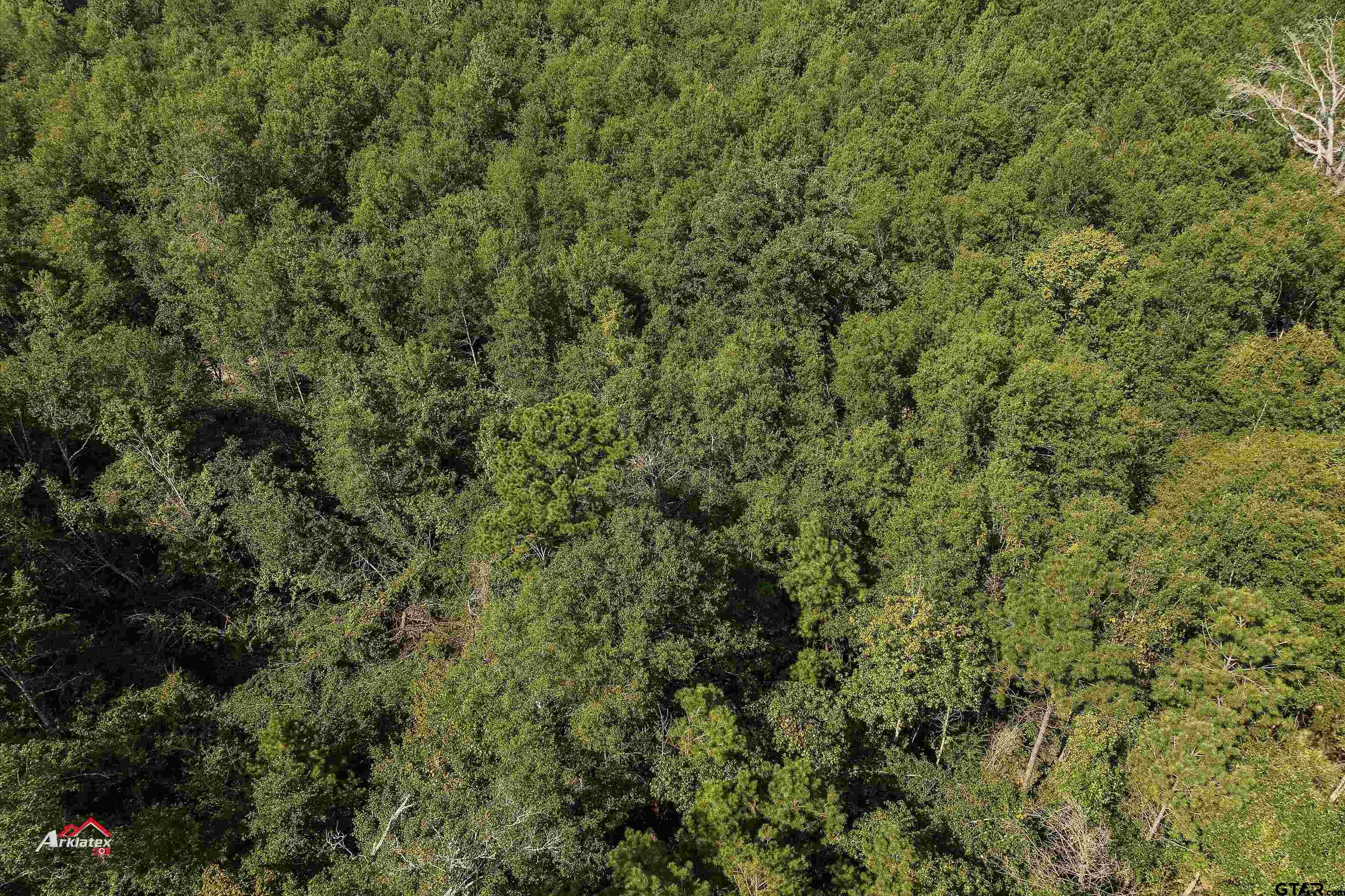 Tbd Cole Road Marshall, TX 75672 - Photo 5 of 8