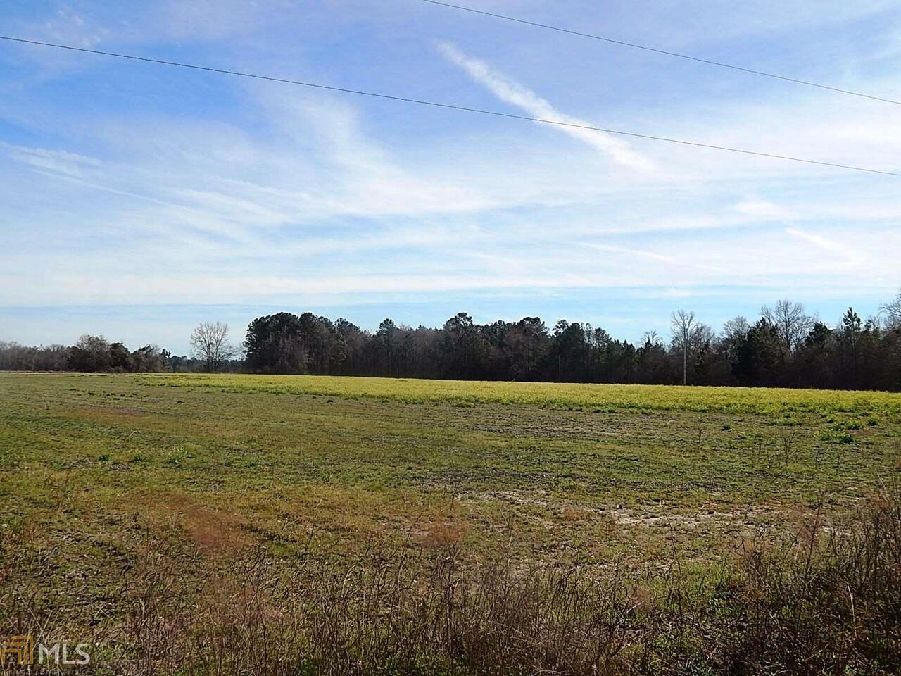 0 Wilson Road Brooklet, GA 30415 - Photo 1 of 1 Gallery Image 1