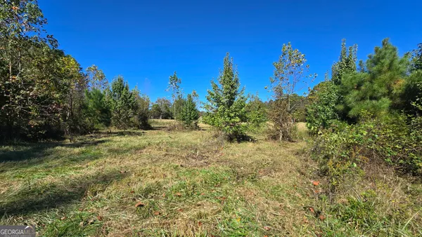 a view of a yard with a tree