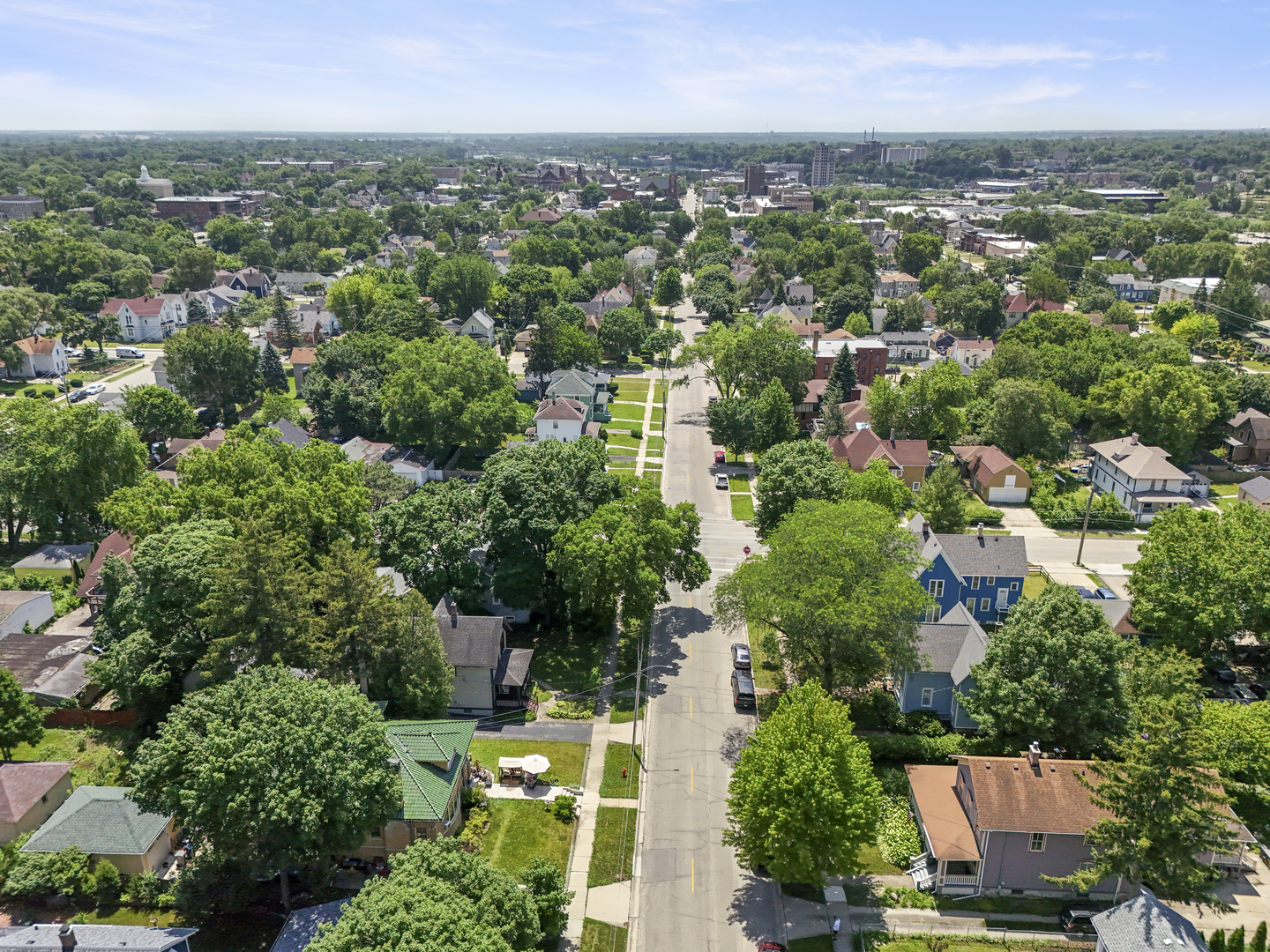 509 North Spring Street Elgin, IL 60120 - Photo 10 of 48
