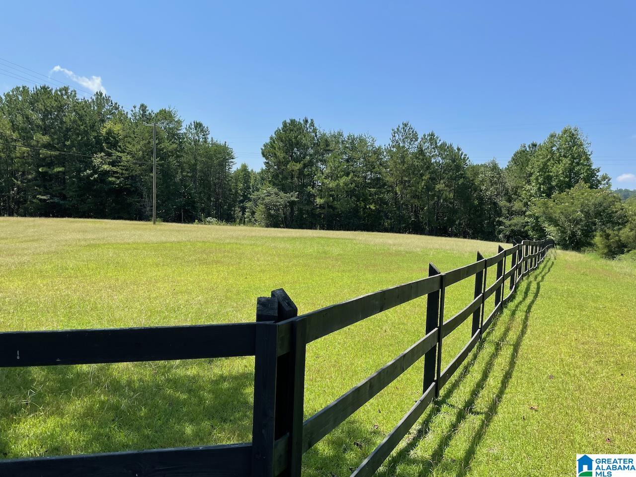 1270 Buddy Vines Camp Road Bessemer, AL 35023 - Photo 36 of 53
