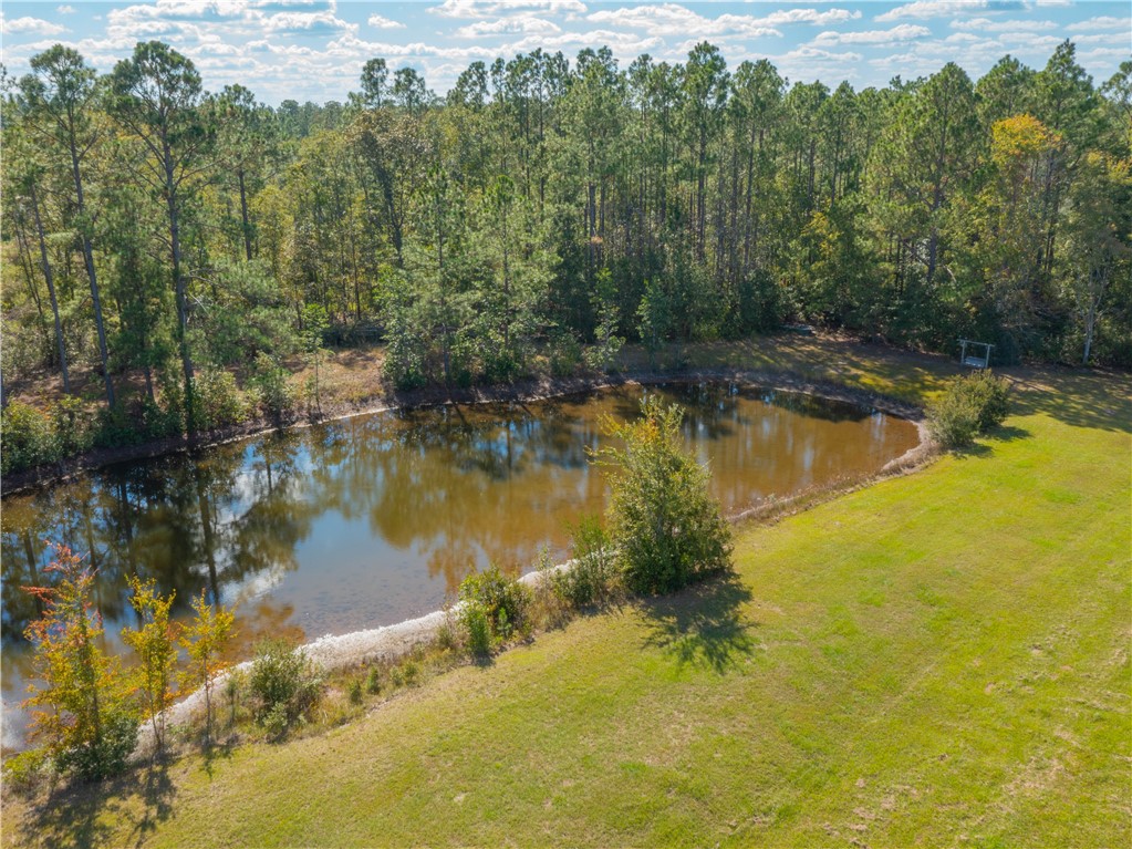 43 Dutch Road Hortense, GA 31543 - Photo 28 of 45