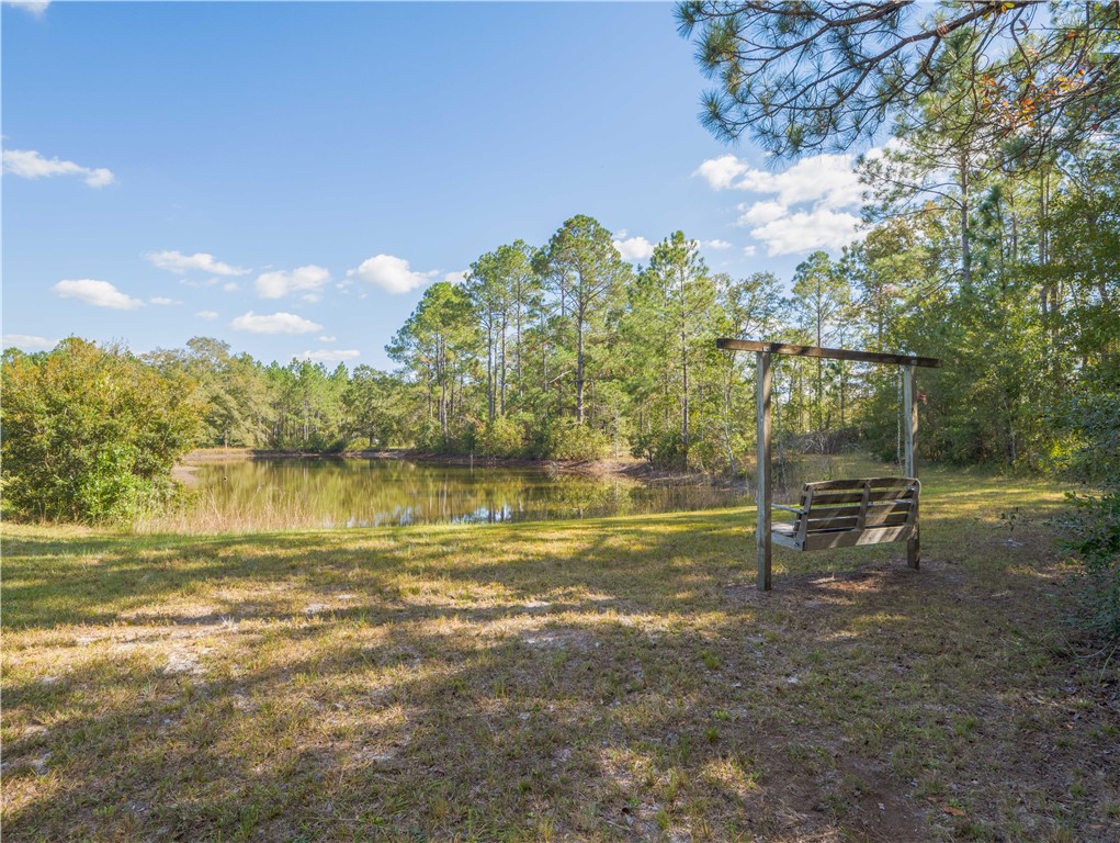 43 Dutch Road Hortense, GA 31543 - Photo 30 of 45 Swing at the pond at the back of the property