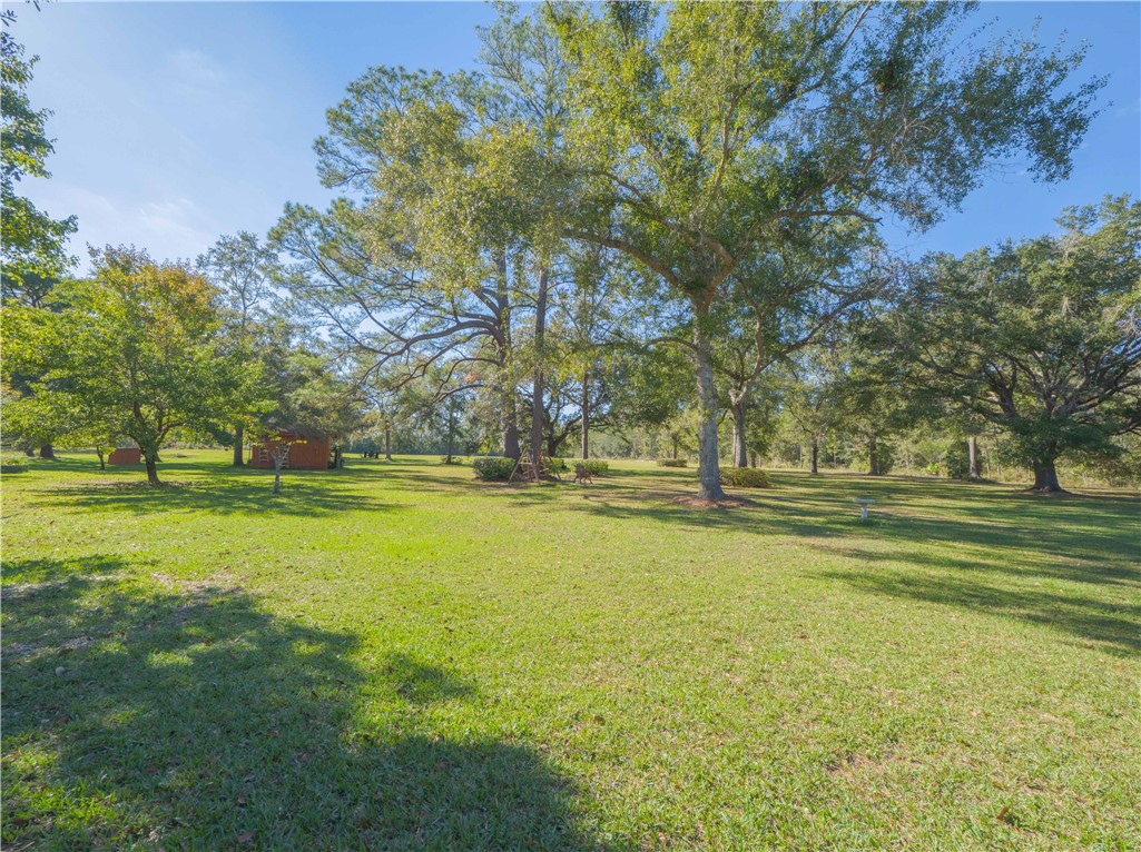 43 Dutch Road Hortense, GA 31543 - Photo 36 of 45 Back yard