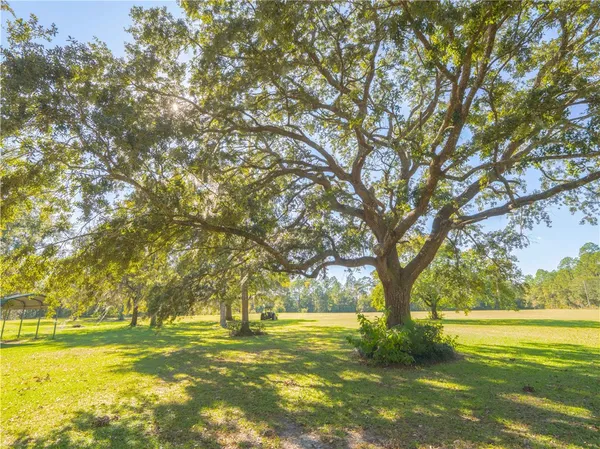 $455,000 | 43 Dutch Road, Hortense, GA 31543