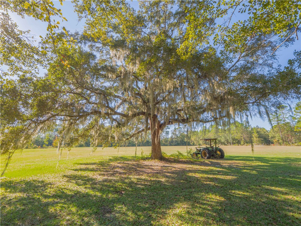 43 Dutch Road Hortense, GA 31543 - Photo 40 of 45 Mature Oaks