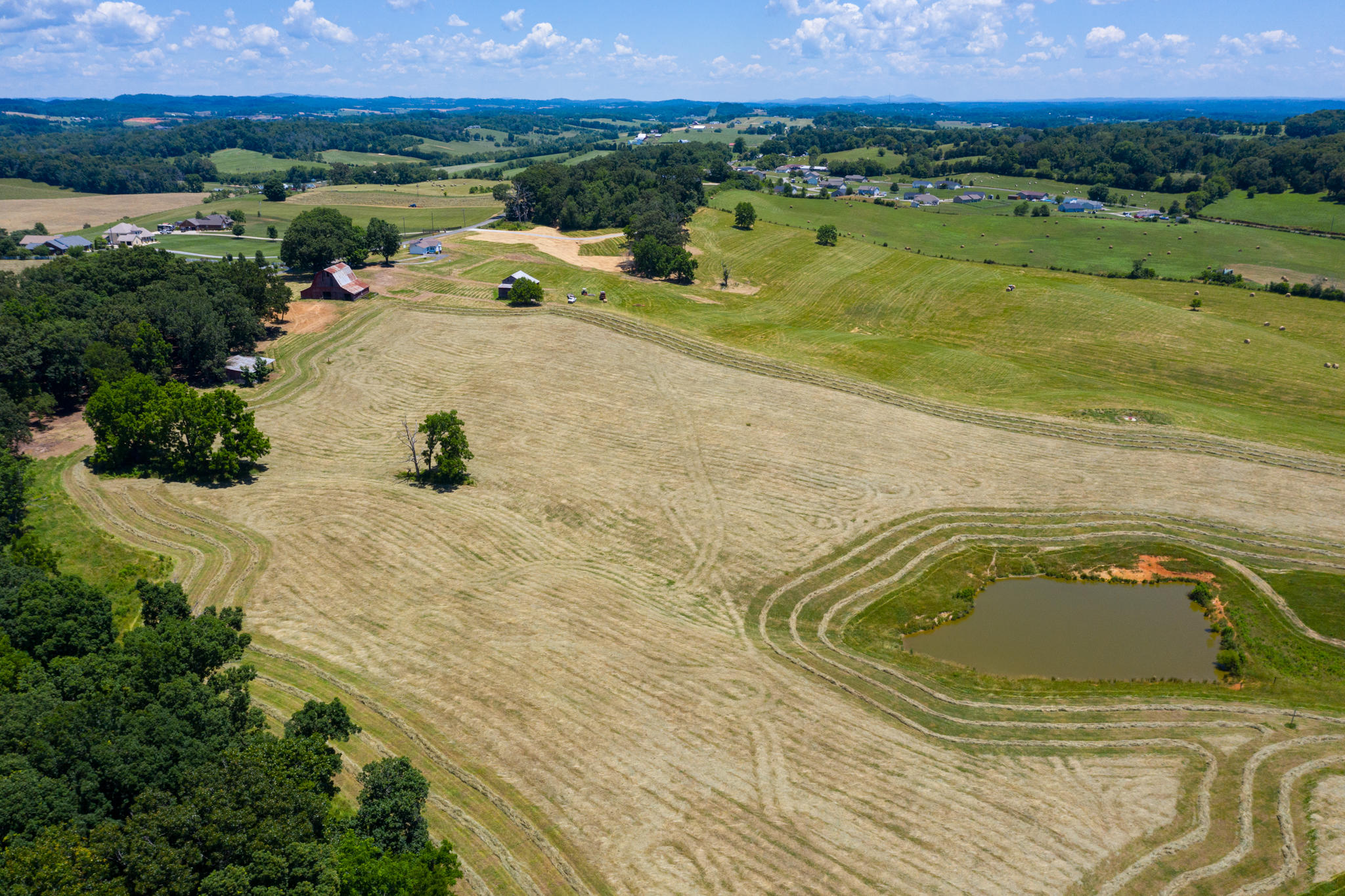 Parsonage Road Dandridge, TN 37725 - Photo 6 of 9 BG_AlleyWhitePine-29