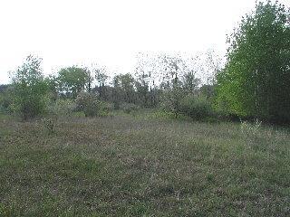 Gerber Road Ludington, MI 49431 - Photo 2 of 9 Additional Photo