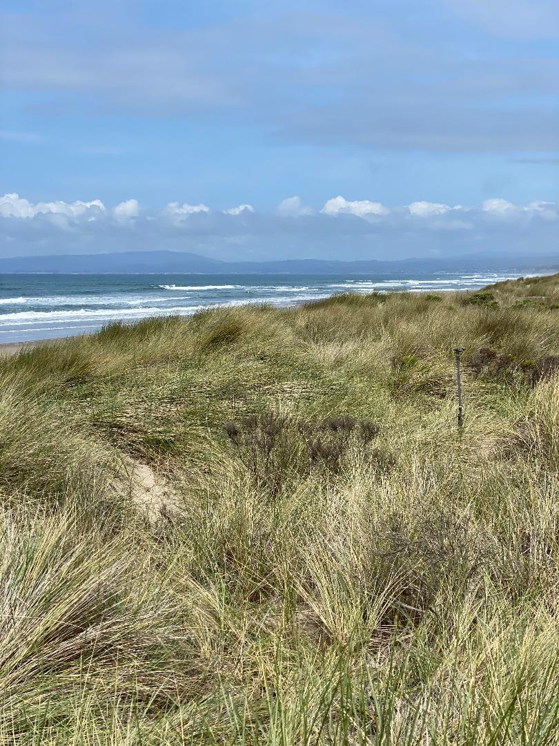 101 Shell Road, Unit 42 Watsonville, CA 95076 - Photo 16 of 17