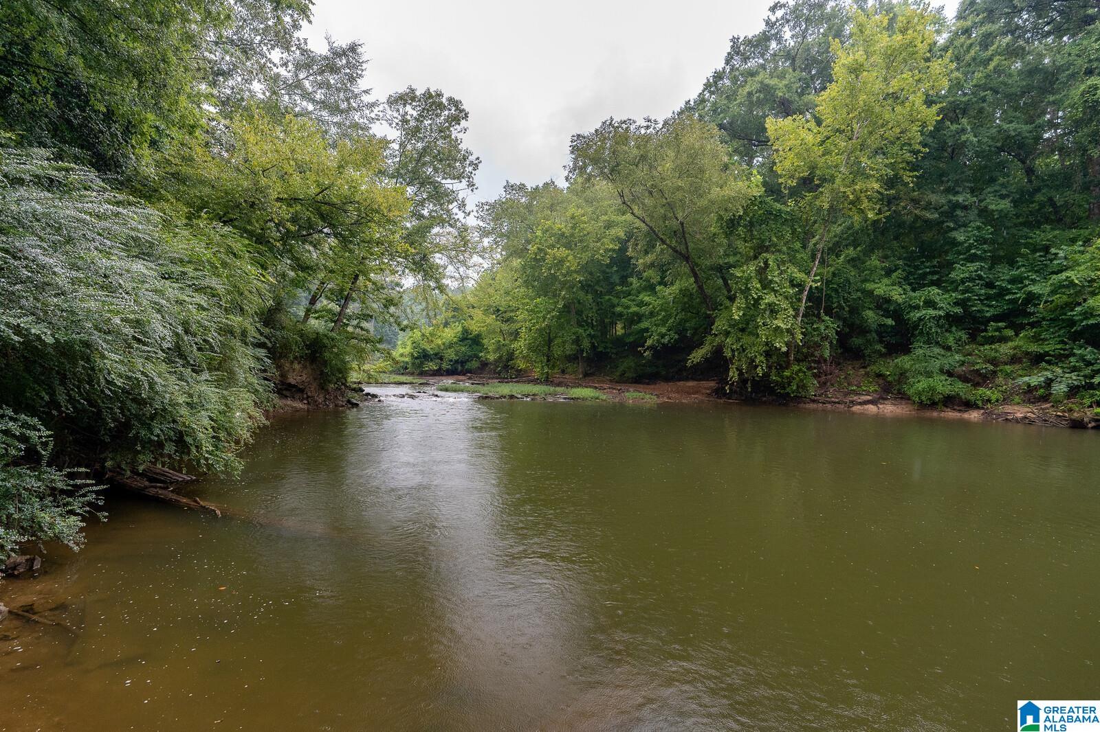 4761 Old Looney Mill Road Birmingham, AL 35243 - Photo 22 of 25