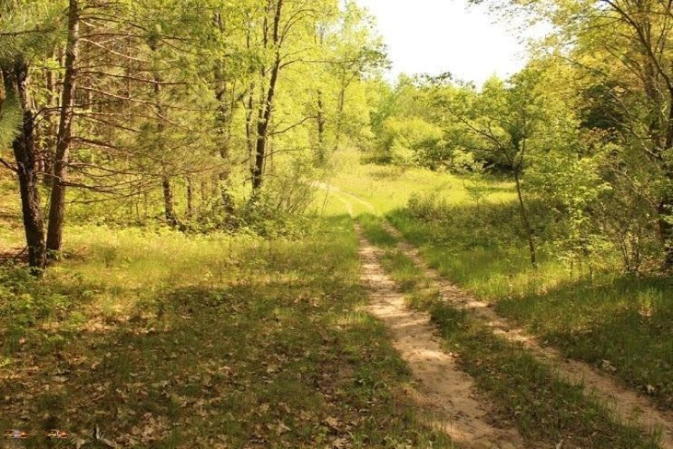 7706 19 Mile Road Barryton, MI 49305 - Photo 11 of 24 Additional Photo
