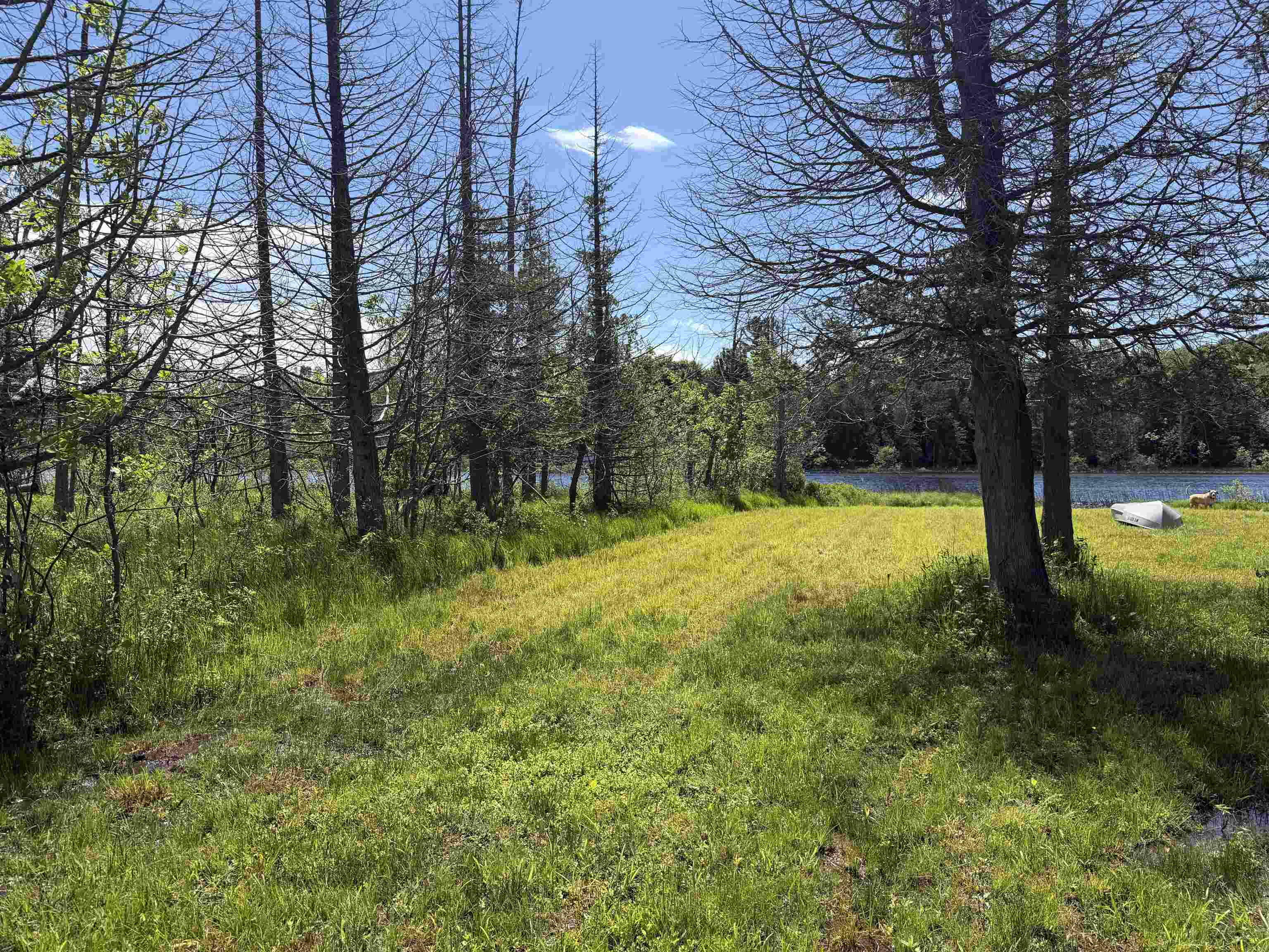6263 East Jordan Road Ellsworth, MI 49729 - Photo 33 of 40