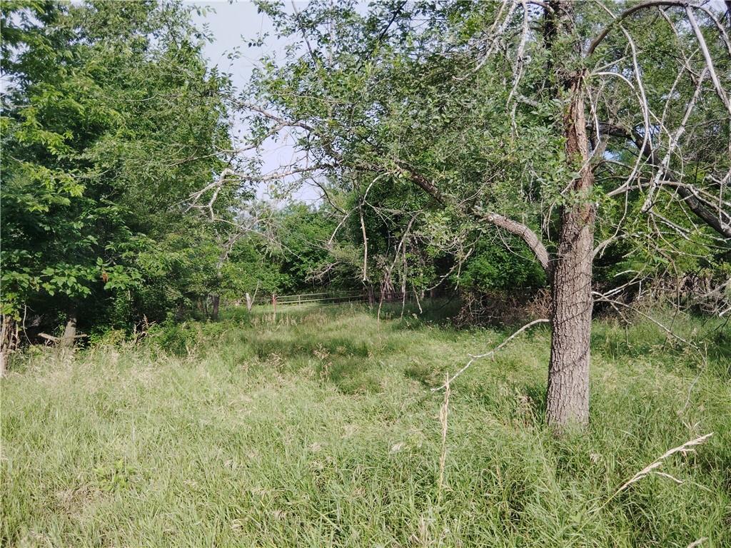 30218 Maple Grove Road Rantoul, KS 66079 - Photo 10 of 14