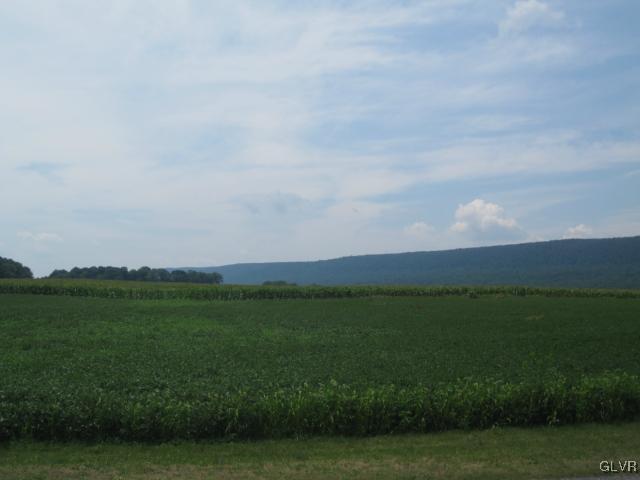 7721 Gun Club Road New Tripoli, PA 18066 - Photo 13 of 14 Views from the deck