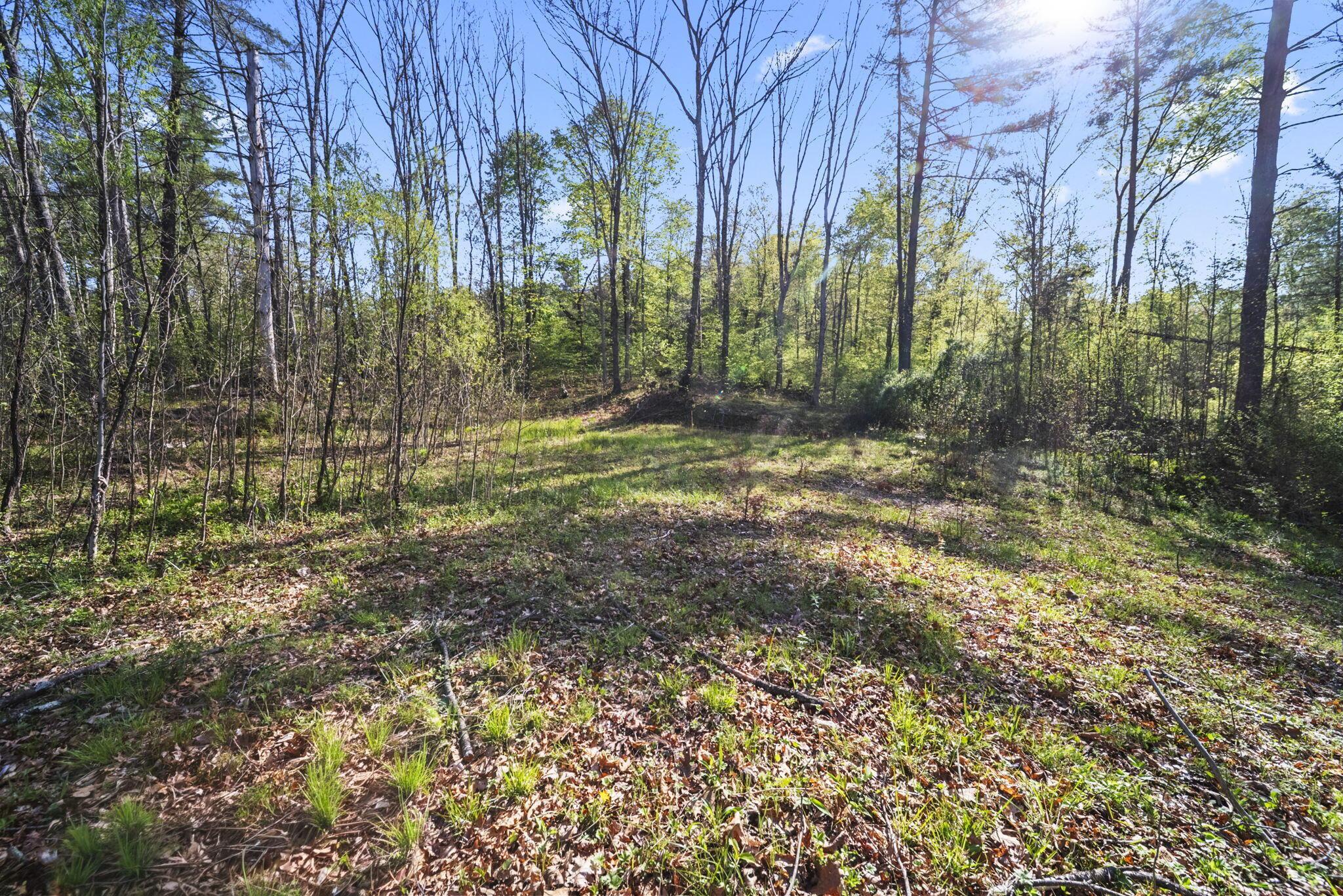 1588 Debord Road Chillicothe, OH 45601 - Photo 6 of 33 5-web-or-mls-DSC03949
