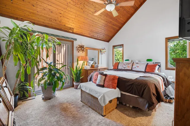 a spacious bedroom with a large bed and a potted plant