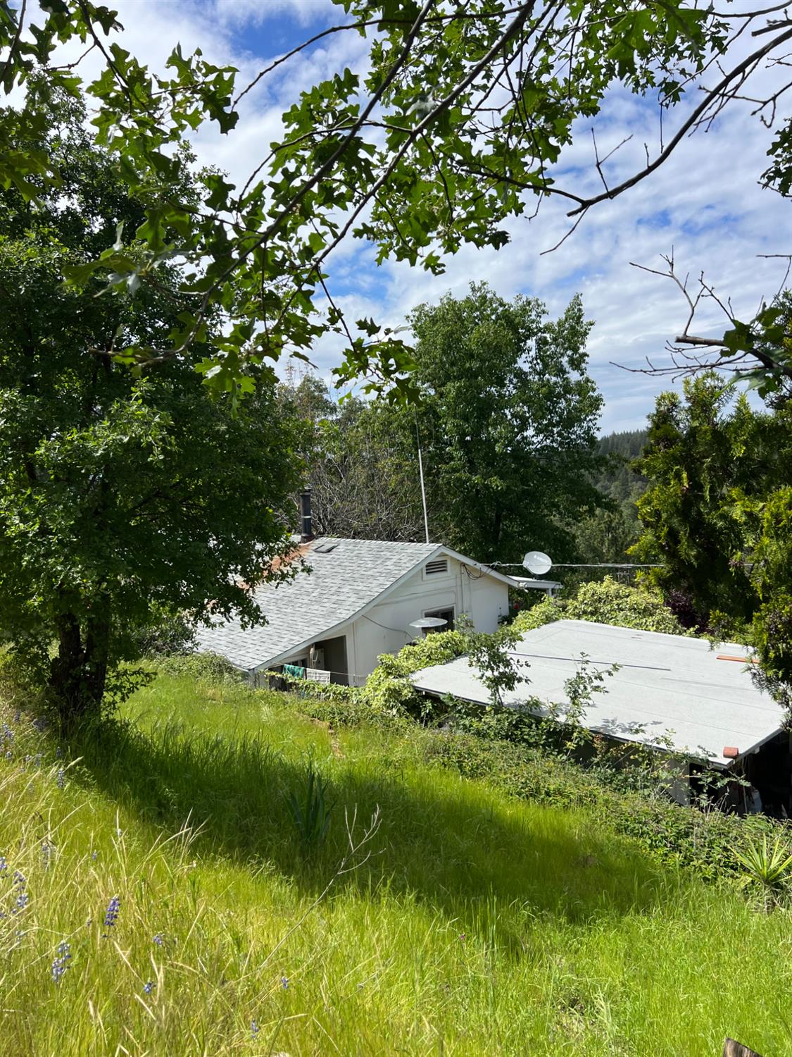 3085 Texerna Court Placerville, CA 95667 - Photo 29 of 39 a view of backyard with swimming pool
