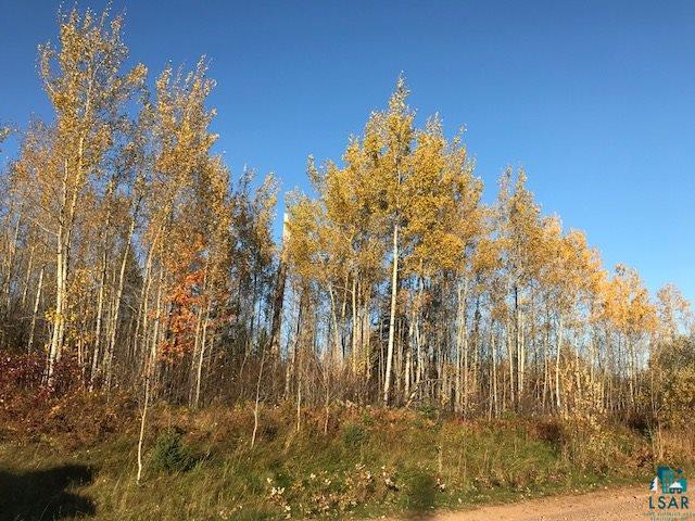Xx Boulder Point Road Lutsen, MN 55612 - Photo 4 of 8