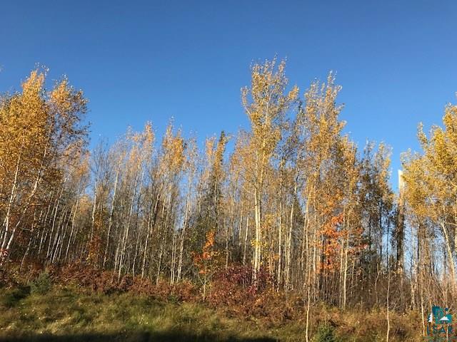 Xx Boulder Point Road Lutsen, MN 55612 - Photo 5 of 8