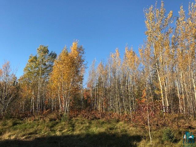 Xx Boulder Point Road Lutsen, MN 55612 - Photo 6 of 8