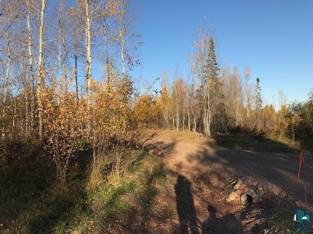 Xx Boulder Point Road Lutsen, MN 55612 - Photo 8 of 8