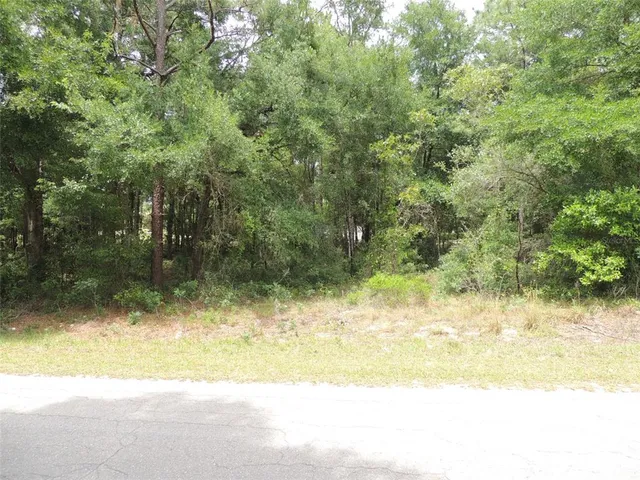 a view of a yard with a tree