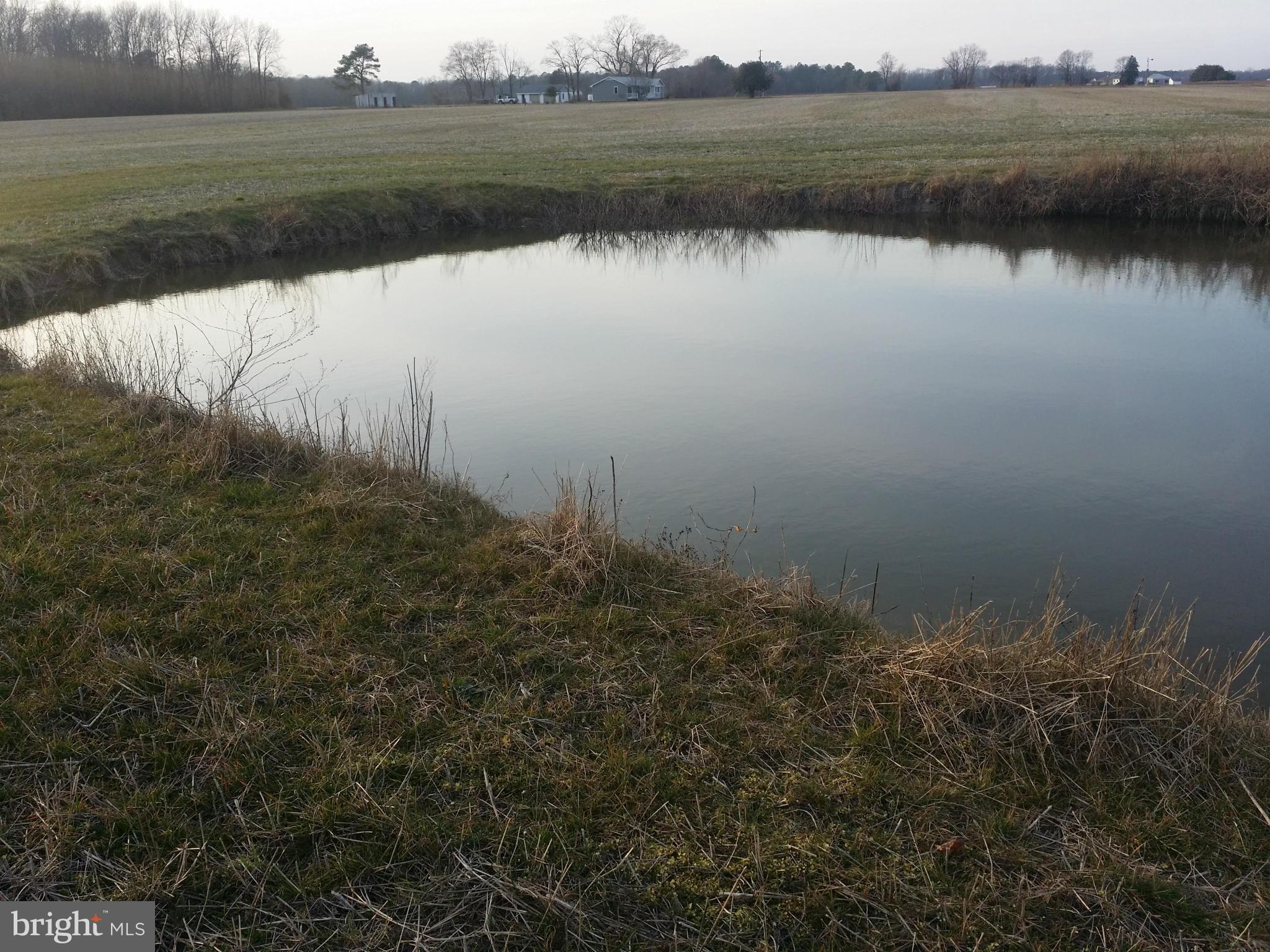 Not On File Harrington, DE 19952 - Photo 4 of 7 a view of lake with green space