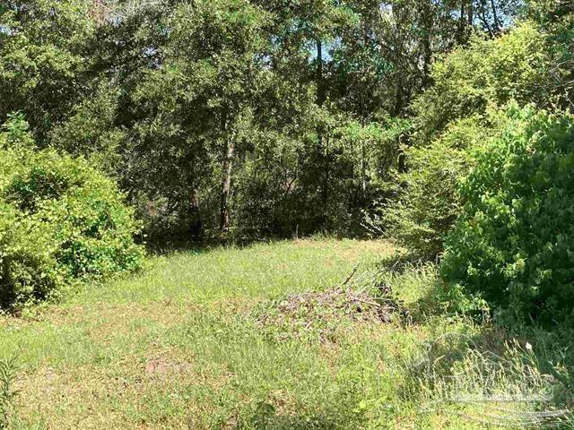 300 Ninety & Nine Ranch Road Cantonment, FL 32533 - Photo 1 of 1 Gallery Image 1